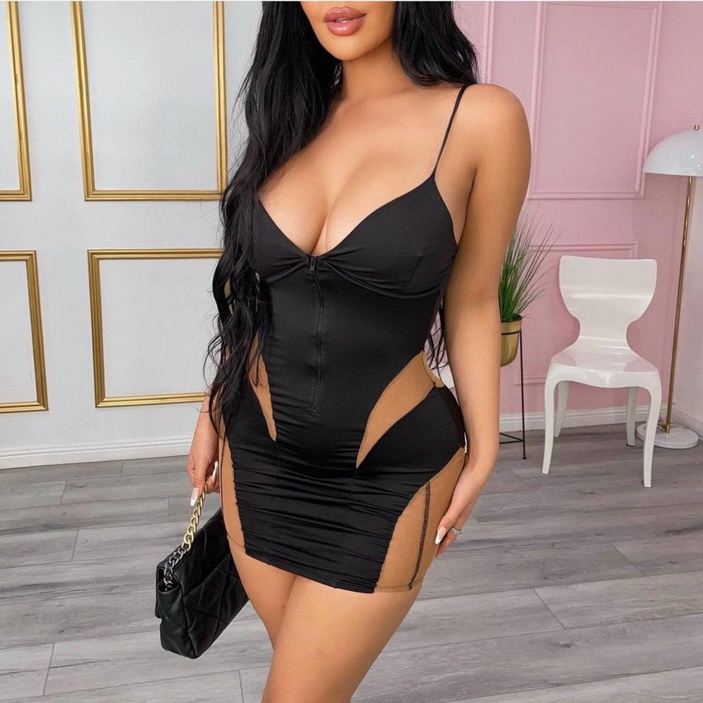 Mesh Bodycon Mini Dress.